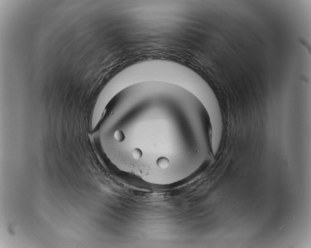 X0000099560320200806131240