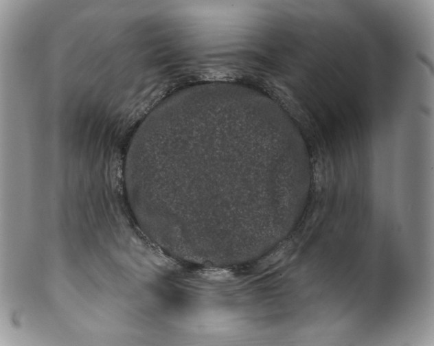 X0000099560322200806131240