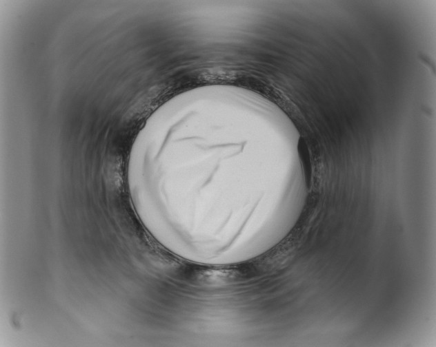X0000099560323200806131240