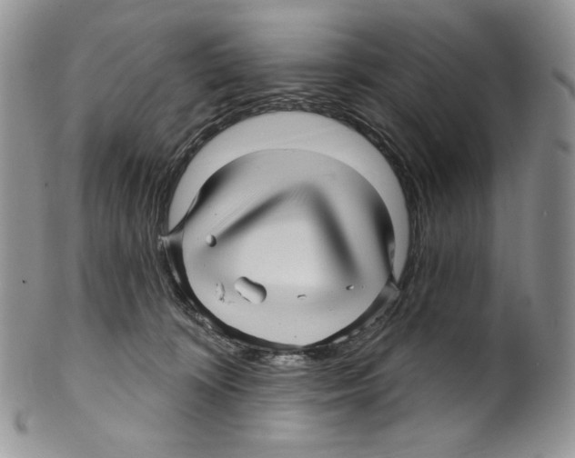 X0000099560324200806131240
