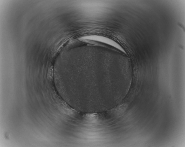 X0000099560325200806131240