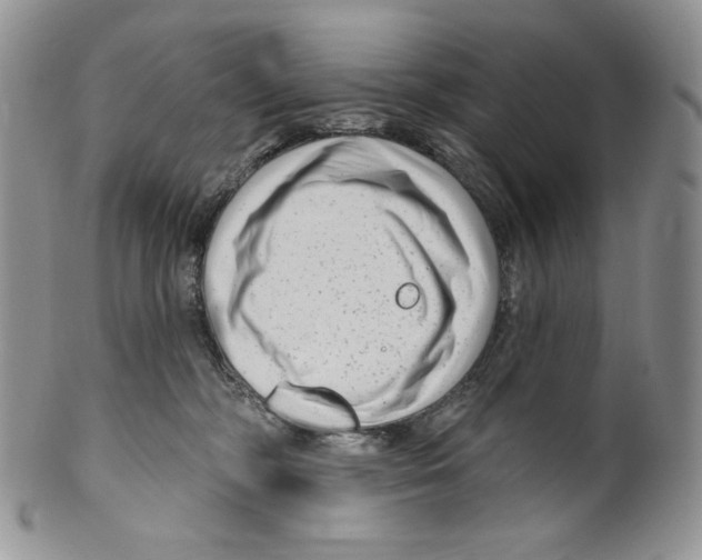 X0000099560326200806131240