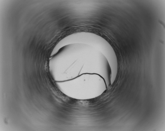 X0000099560328200806131240