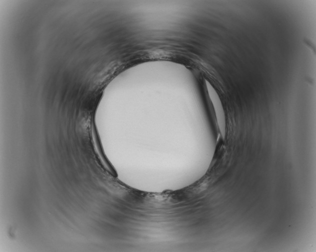 X0000099560329200806131240