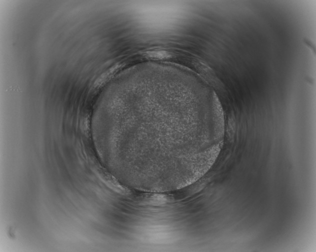X0000099560330200806131240