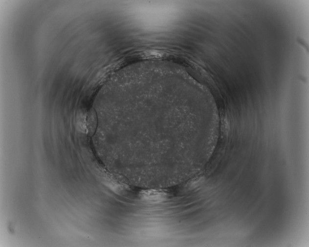 X0000099560331200806131240