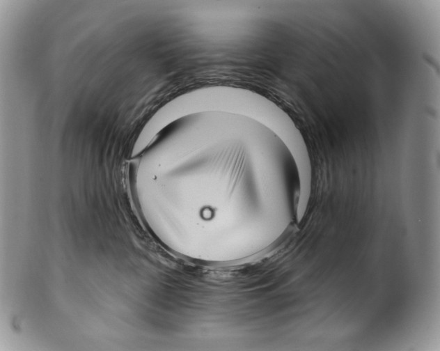 X0000099560332200806131240