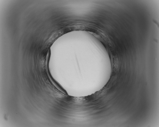 X0000099560333200806131240