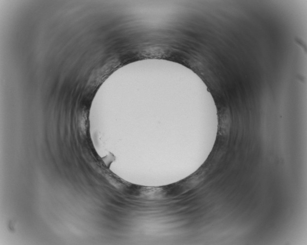 X0000099560334200806131239
