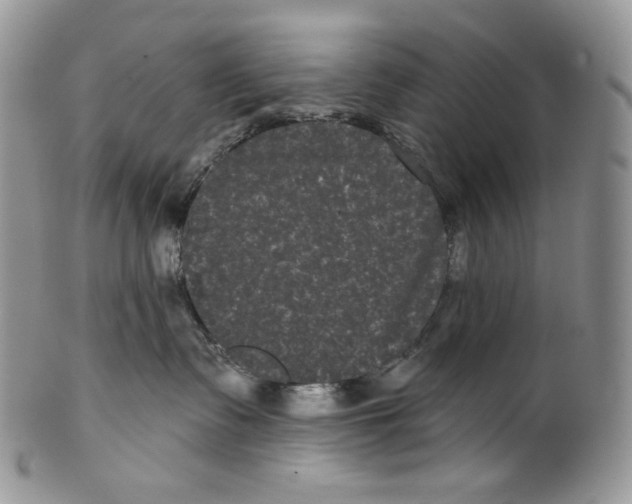 X0000099560335200806131239