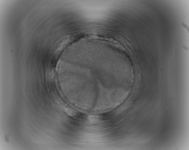X0000099560336200806131239