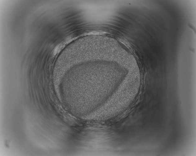 X0000099560337200806131239