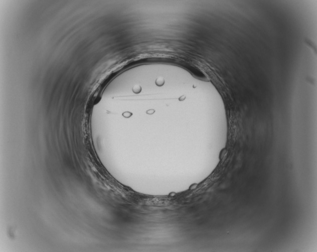 X0000099560338200806131239
