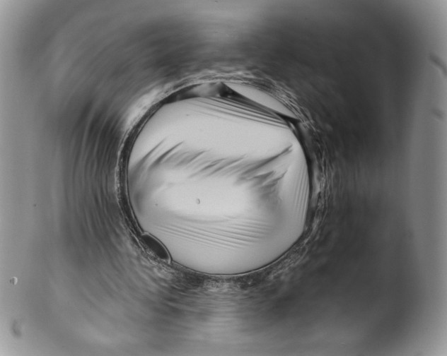 X0000099560340200806131239