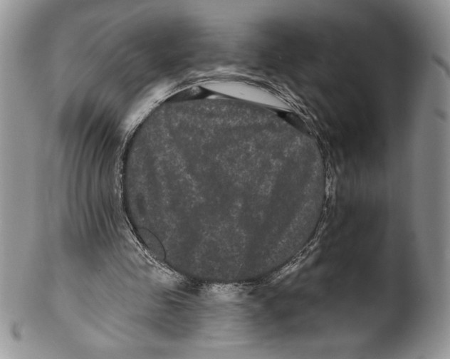 X0000099560341200806131239