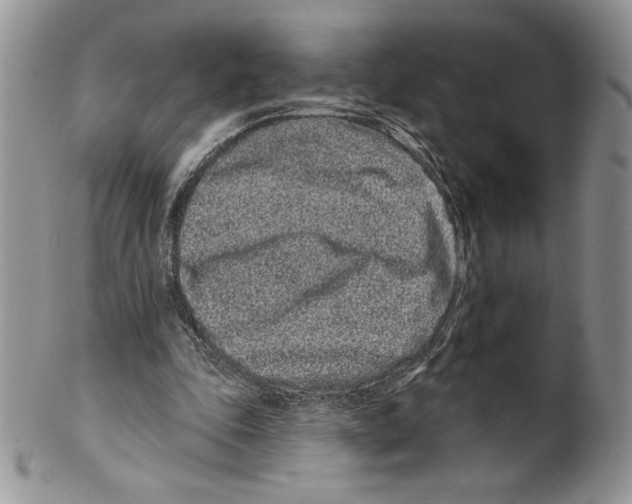 X0000099560343200806131239