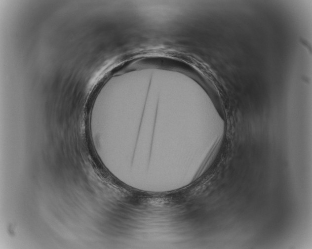 X0000099560344200806131239