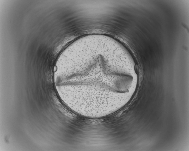 X0000099560345200806131239