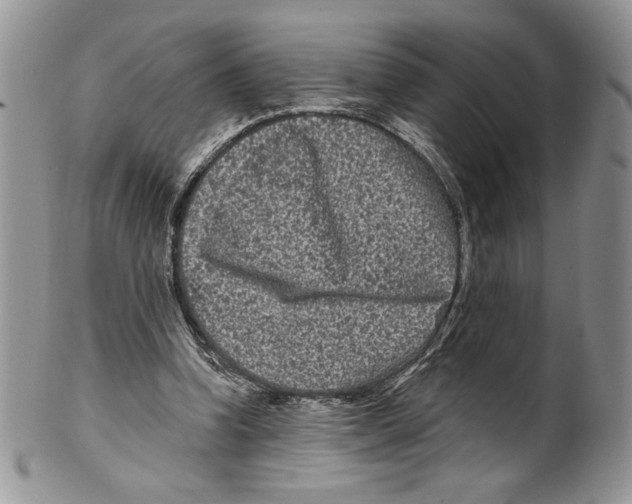 X0000099560346200806131239