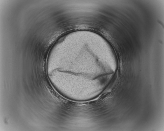 X0000099560347200806131239
