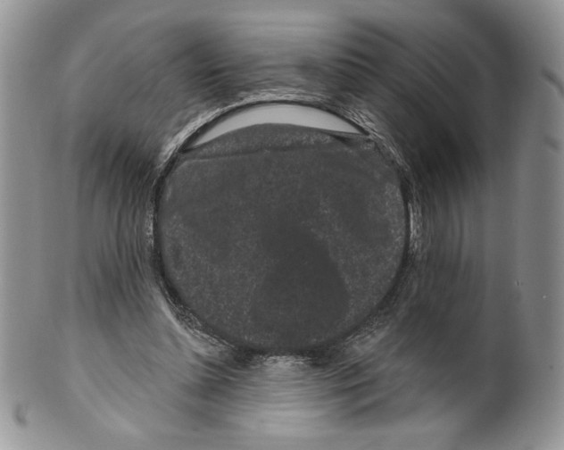X0000099560348200806131239