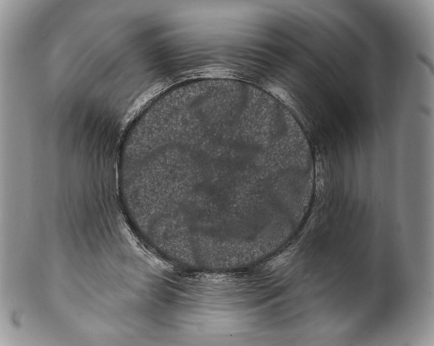 X0000099560349200806131239