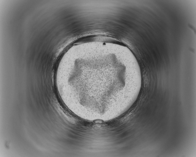 X0000099560350200806131239