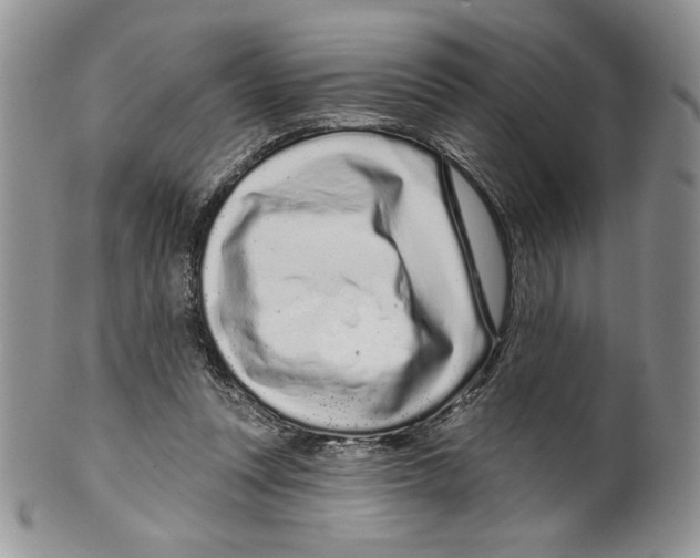 X0000099560351200806131239