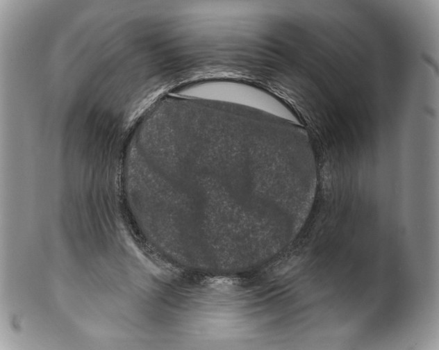 X0000099560352200806131239