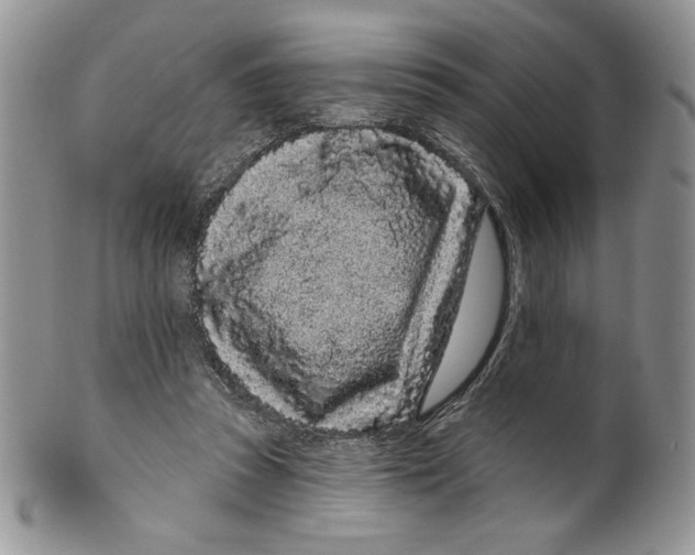 X0000099560353200806131239