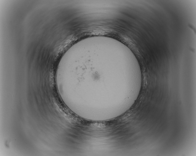 X0000099560354200806131239