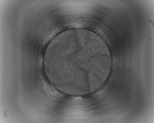 X0000099560355200806131239