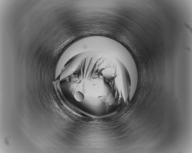 X0000099560356200806131239