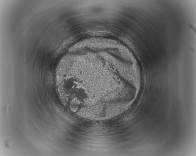 X0000099560357200806131239