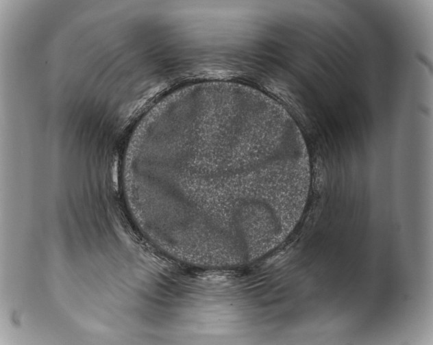 X0000099560358200806131239