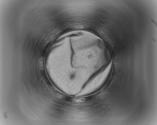 X0000099560359200806131239