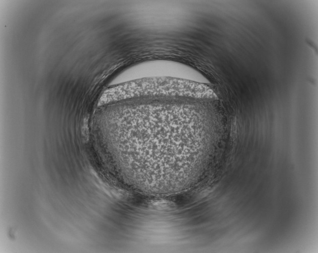 X0000099560360200806131239
