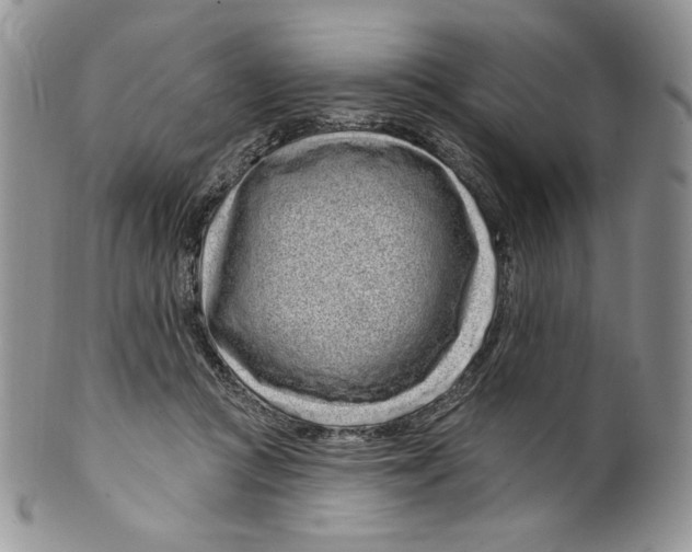 X0000099560361200806131239