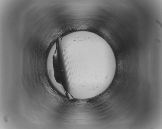 X0000099560362200806131239