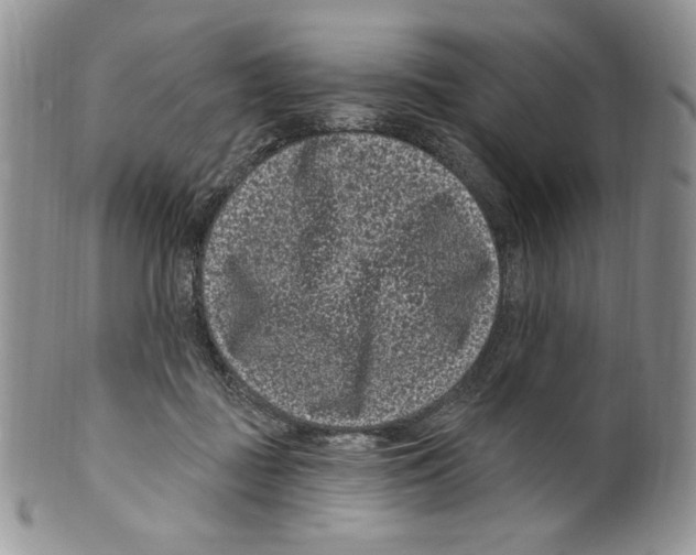 X0000099560363200806131239