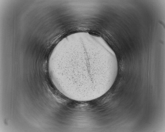 X0000099560364200806131239