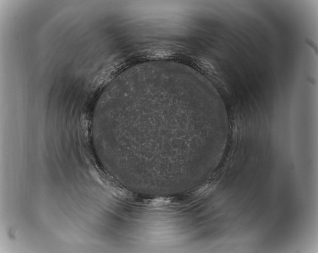 X0000099560366200806131239