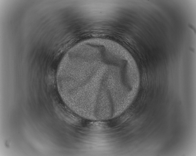 X0000099560367200806131239