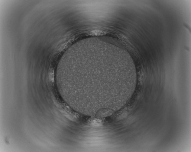 X0000099560368200806131239