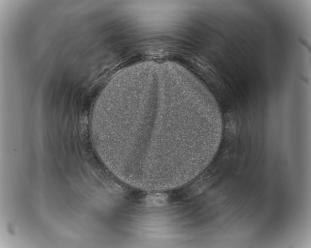X0000099560369200806131239