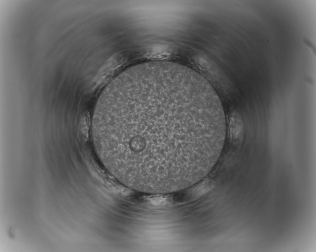 X0000099560370200806131239