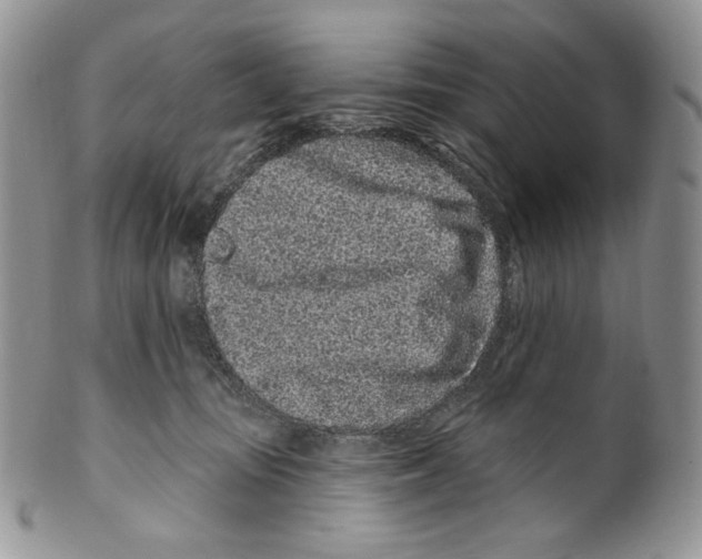 X0000099560371200806131239