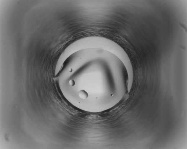 X0000099560372200806131239