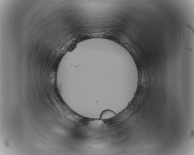 X0000099560374200806131239