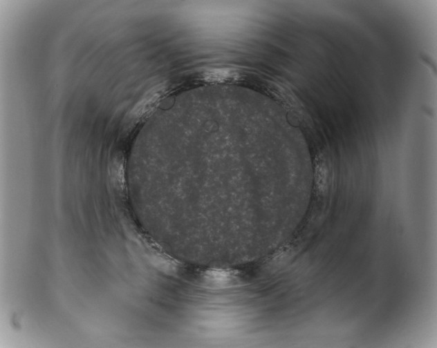 X0000099560375200806131239